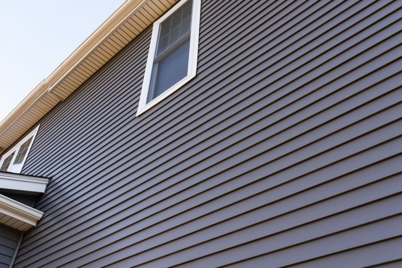 Vinyl Siding in a Neighborhood